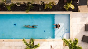 Piscina rectangular con dos personas, una nadando y otra de pie, rodeada de palmeras y un patio empedrado.