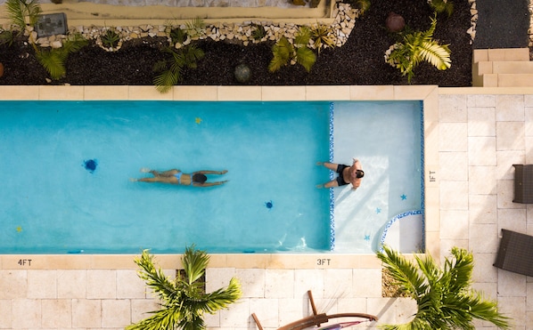 Piscina rectangular con dos personas, una nadando y otra de pie, rodeada de palmeras y un patio empedrado.