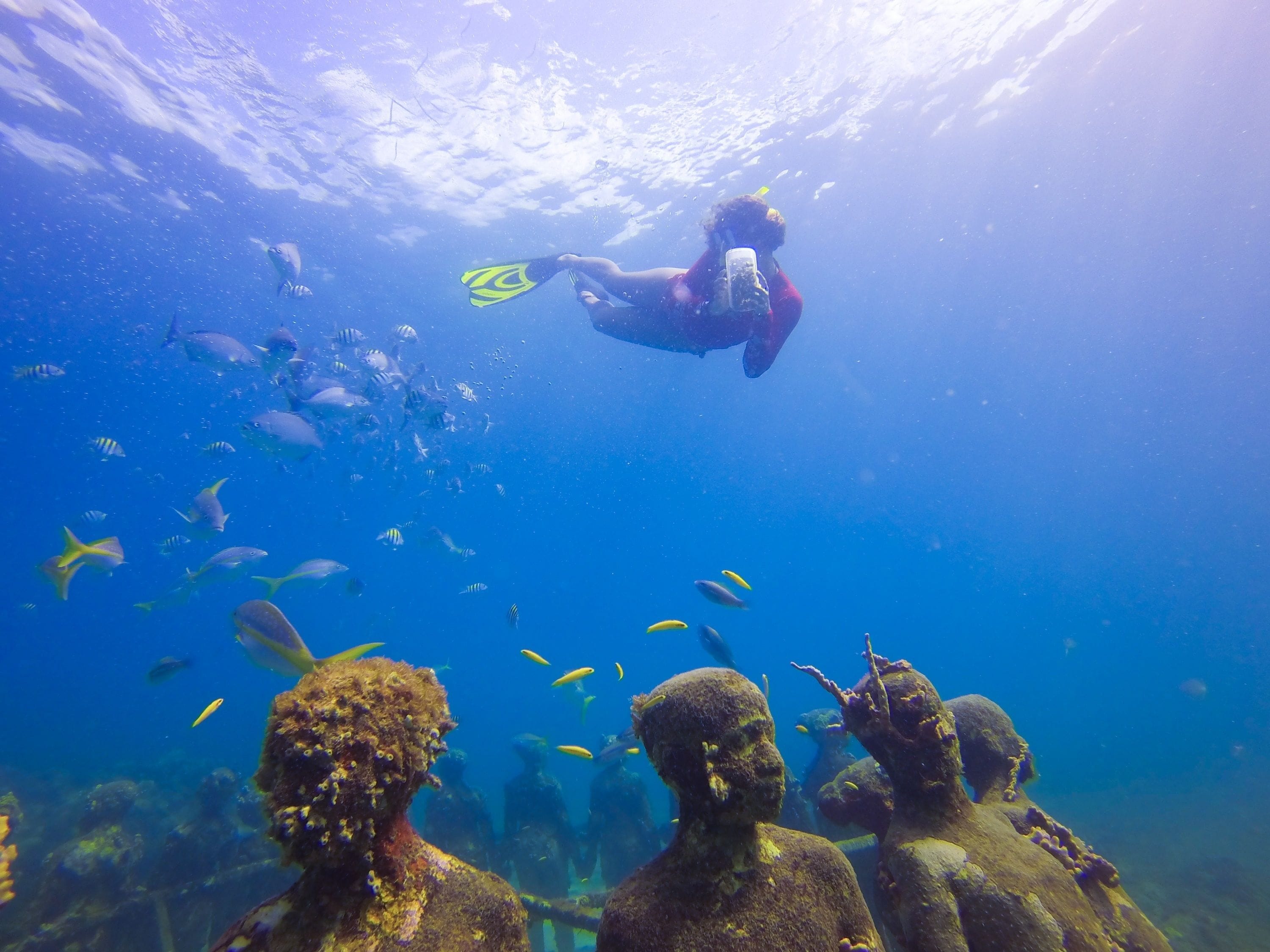 An underwater scene with a diver in red, surrounded by various fish and coral formations.