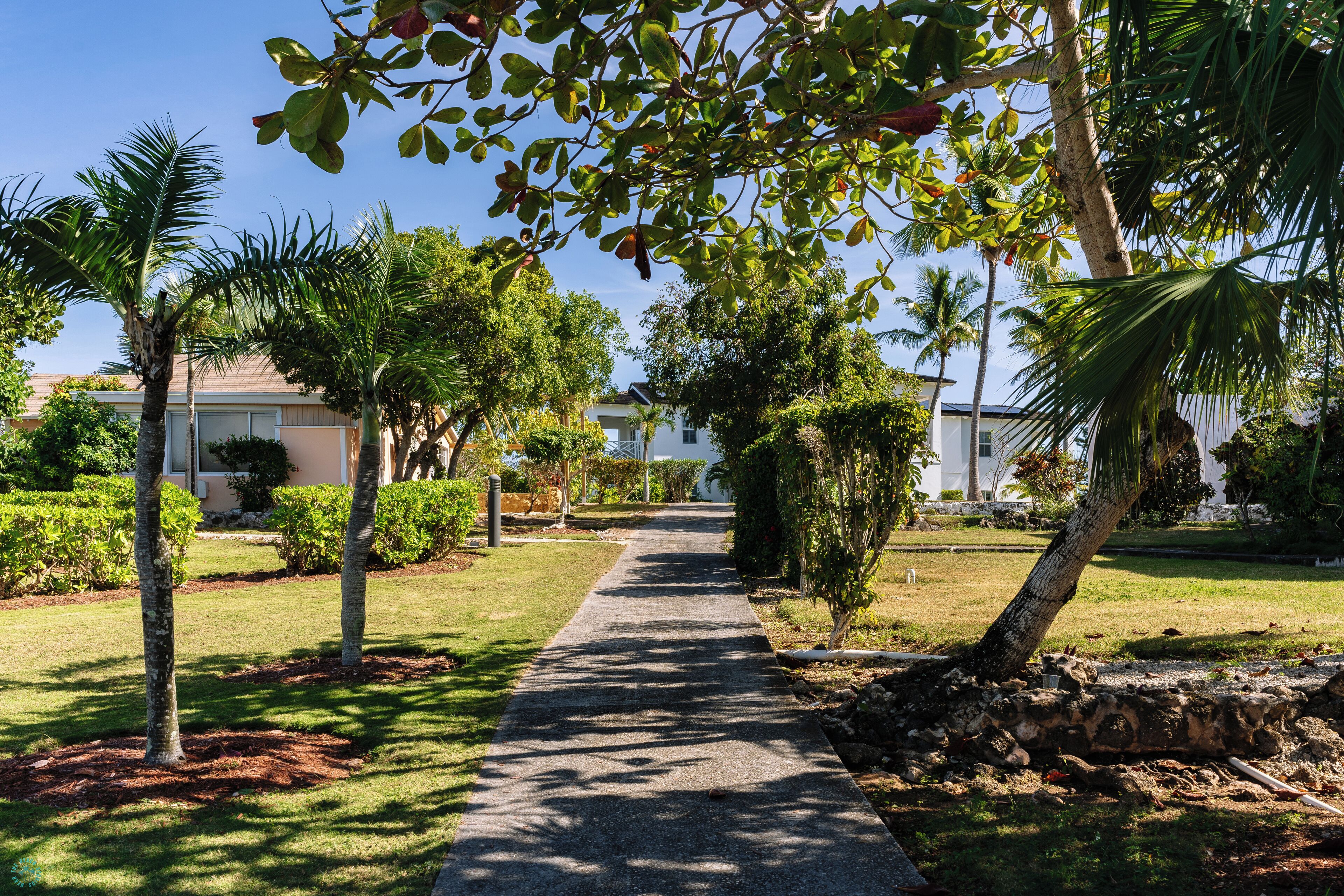 A paved pathway flanked by palm trees and shrubs, leading to a building with a white facade.