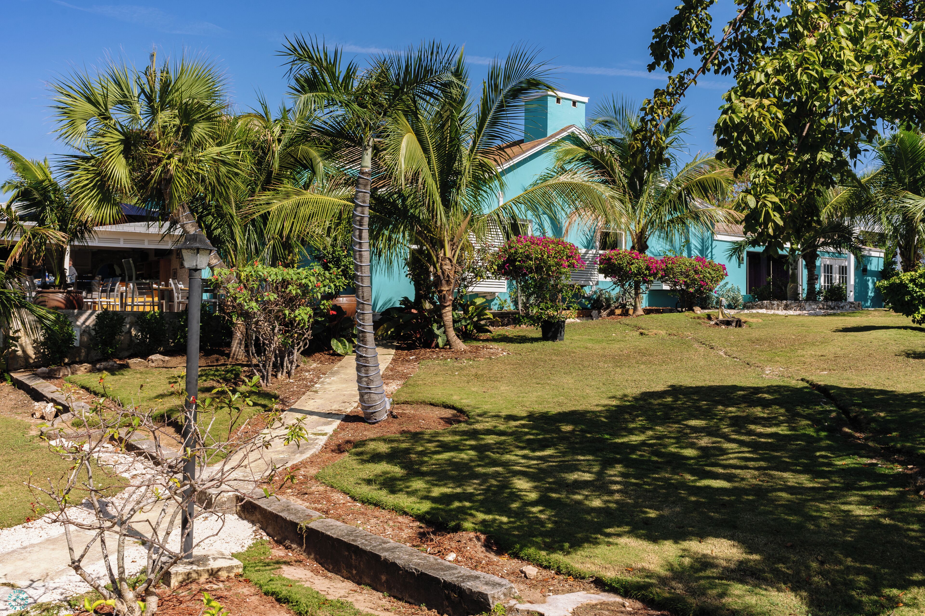 A tropical resort with palm trees, a pathway, and a building with a blue facade.