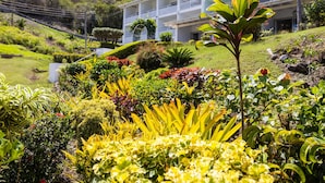 A lush garden with a variety of plants and flowers in front of a white building with balconies. - Siesta Hotel (St. George's)
