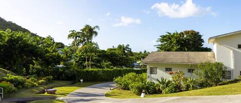 A residential area with a curved driveway leading to a house with a sloped roof.