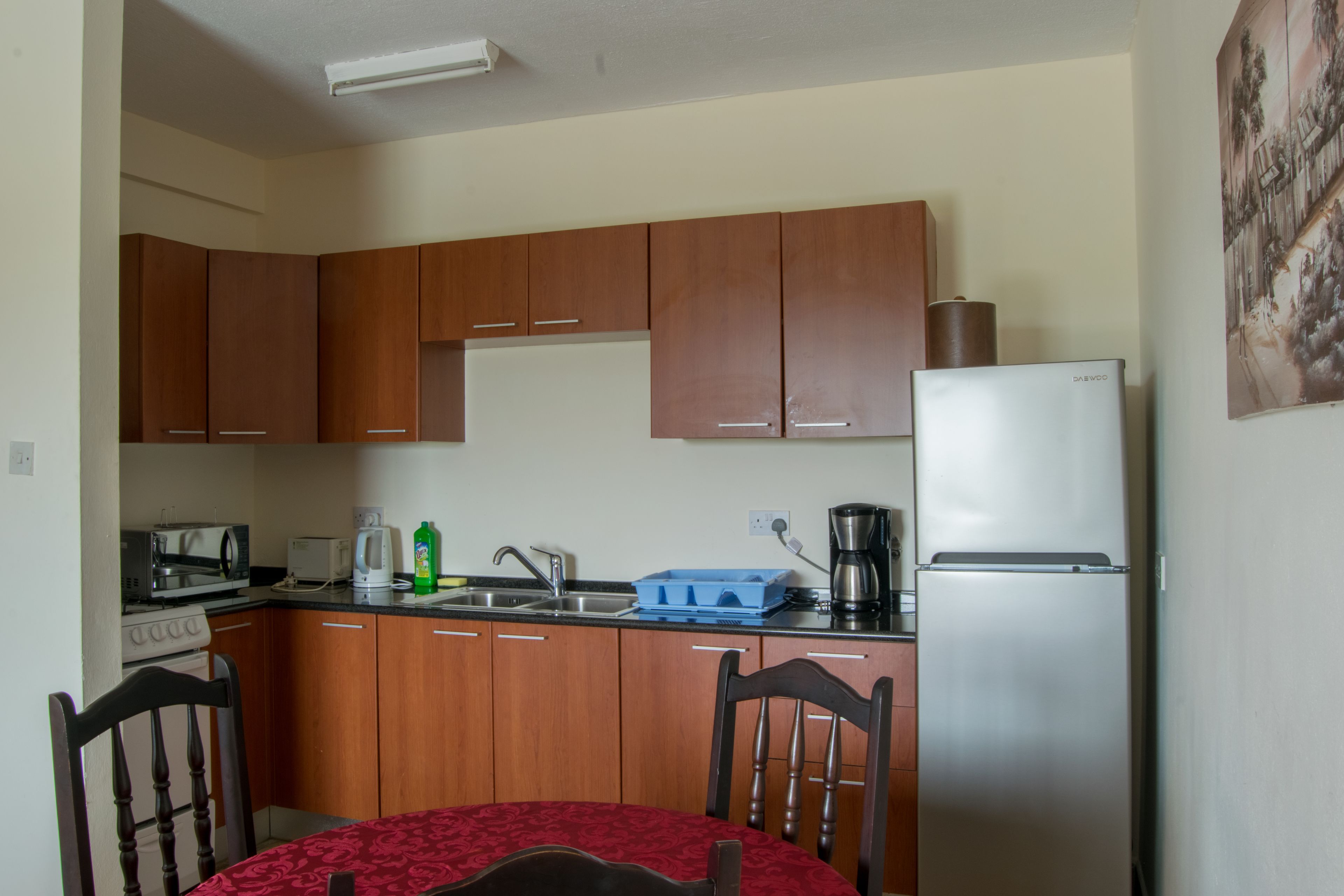 standard apartment, 1 bedroom | private kitchen | fridge, microwave, electric kettle