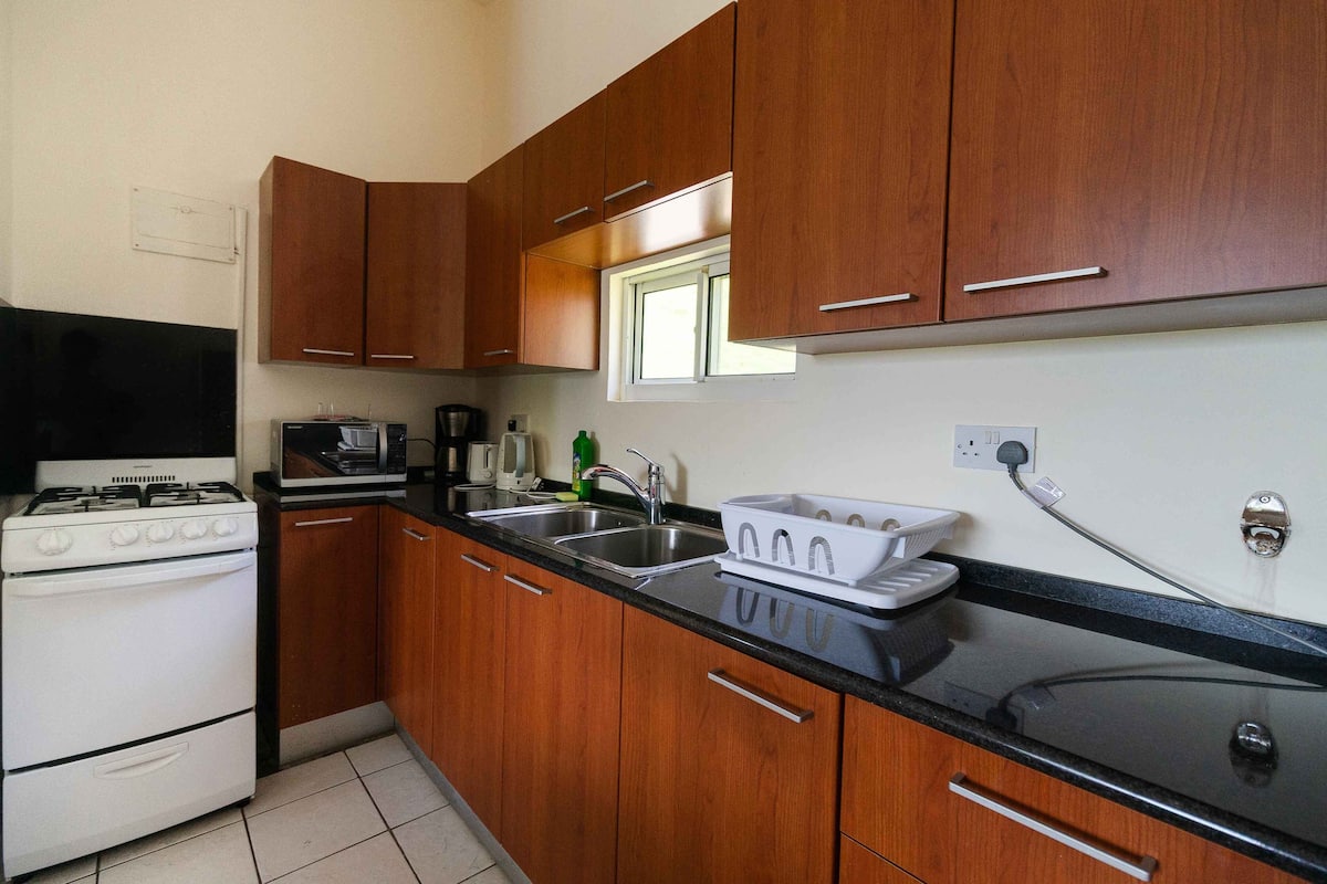 standard apartment, 1 bedroom | private kitchen | fridge, microwave, electric kettle