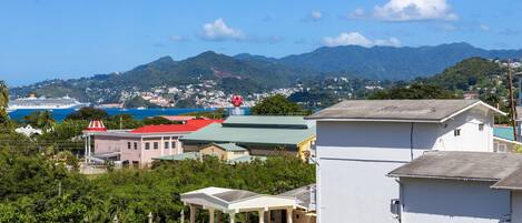 A coastal residential area with houses, a swimming pool, and a cruise ship in the background.