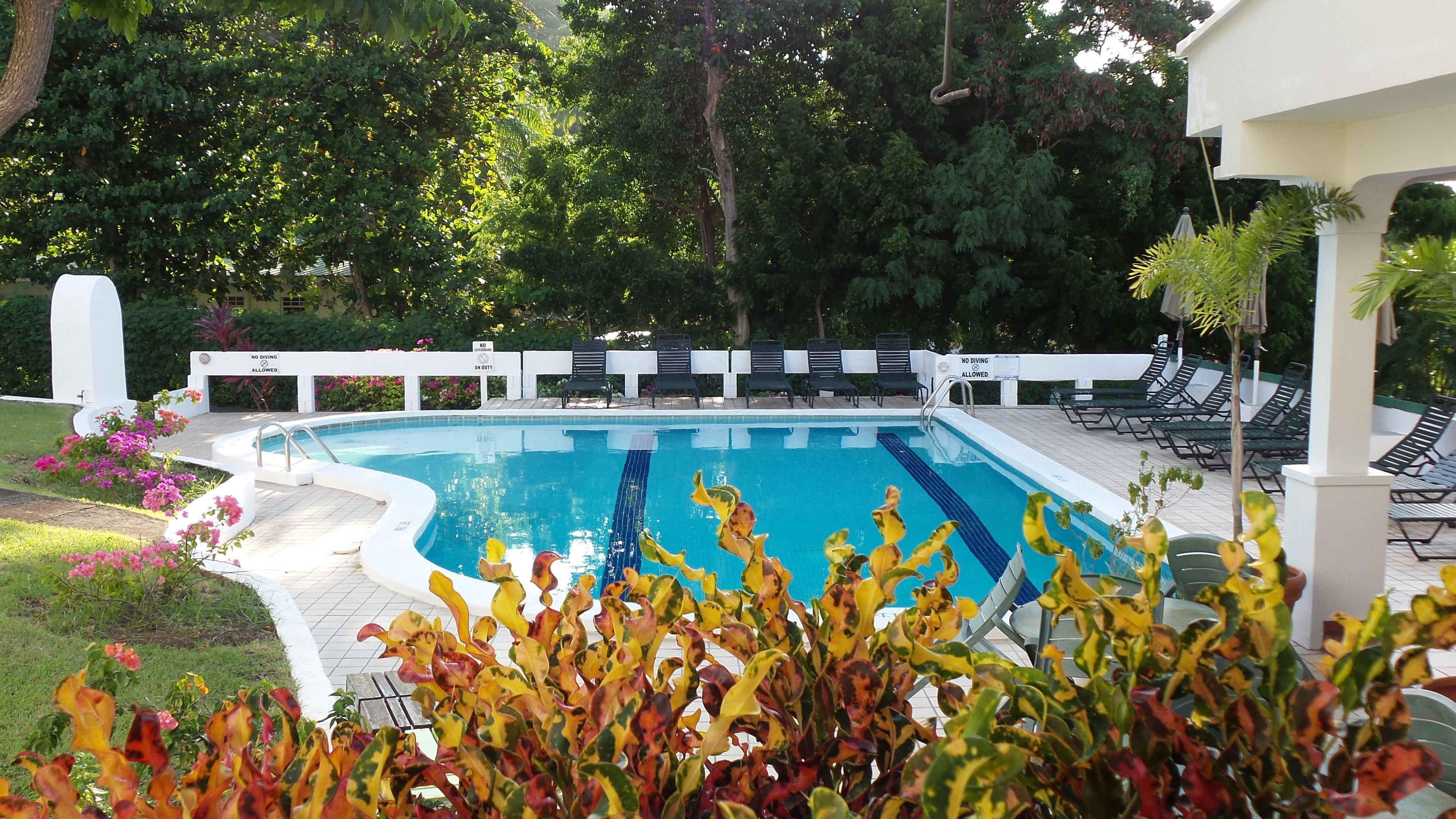 A swimming pool with a white deck, surrounded by lounge chairs and a white fence.