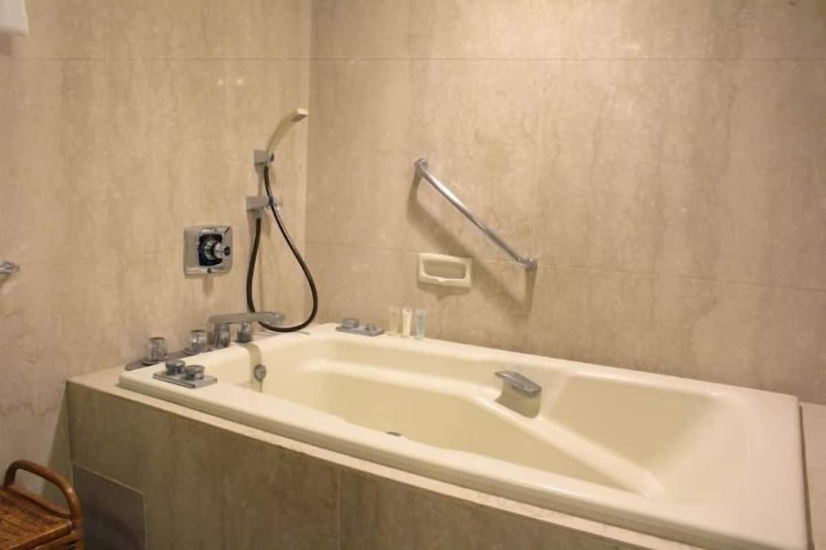 Separate bathtub and shower, free toiletries, hair dryer, bathrobes