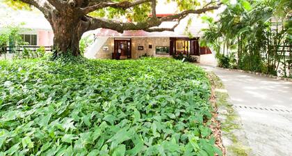 Hotel Misión Palenque