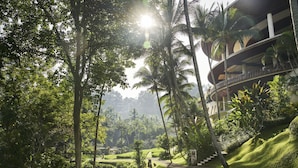 A lush, green landscape with palm trees and a pathway leading to a building with multiple balconies.