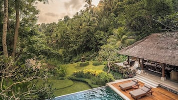 Outdoor pool, sun loungers