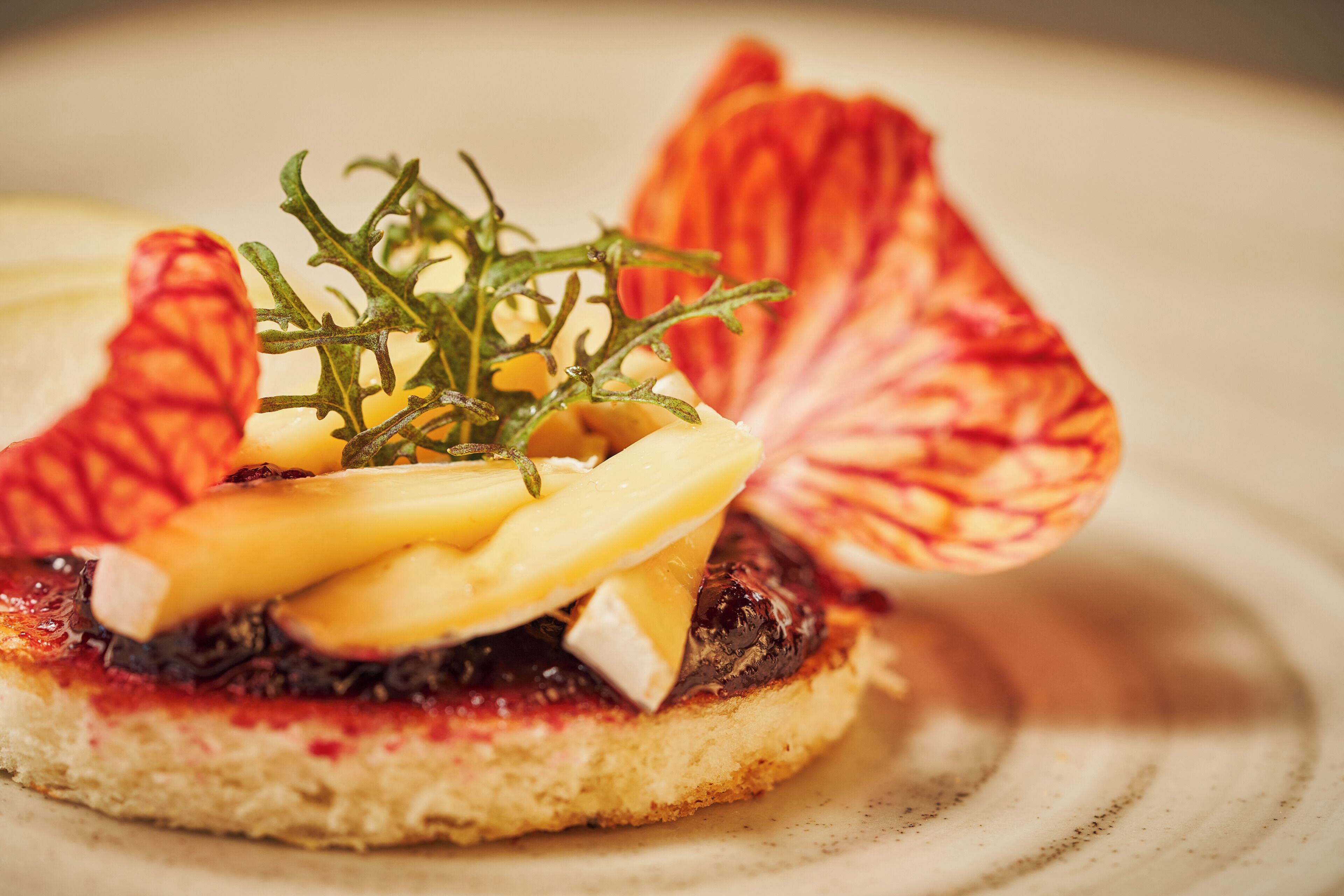 A close-up of a gourmet dish with a slice of bread, cheese, and a garnish of red leaves.