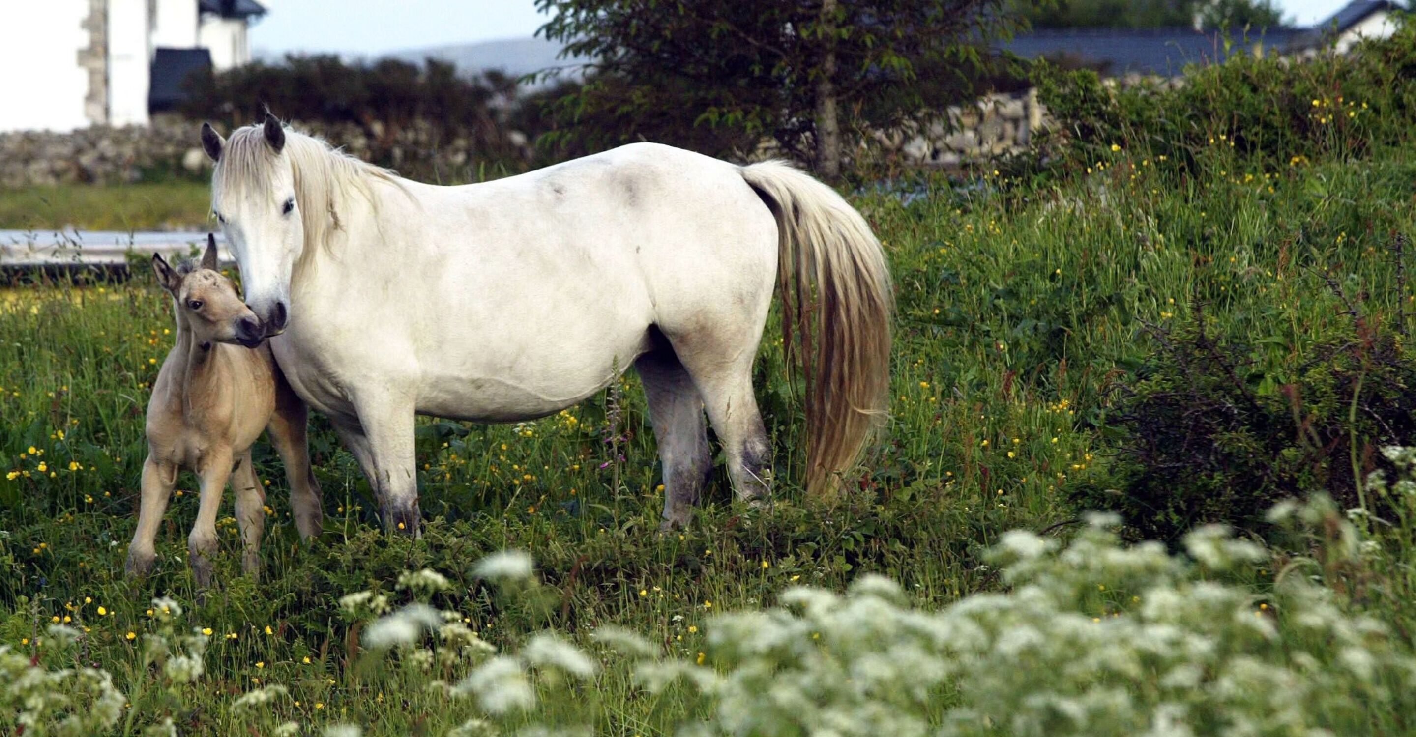 land view from property