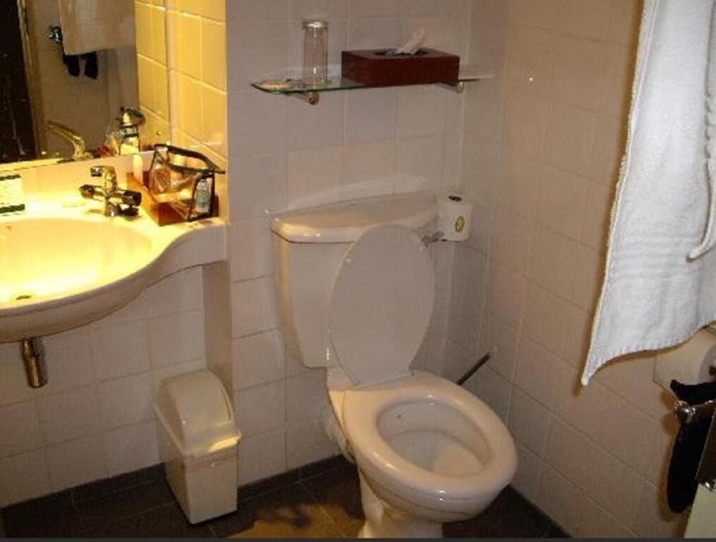 A bathroom with a toilet, sink, and a towel hanging on the wall.