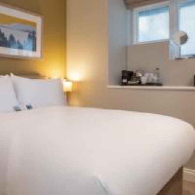 Habitación básica con 2 camas individuales, 1 cama individual, No se admiten mascotas | Ropa de cama hipoalergénica, caja fuerte, escritorio