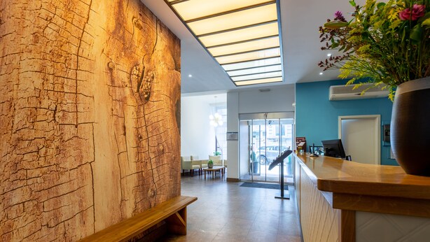 Un área de recepción con pared de madera, un banco, un mostrador de recepción y una planta grande en maceta.