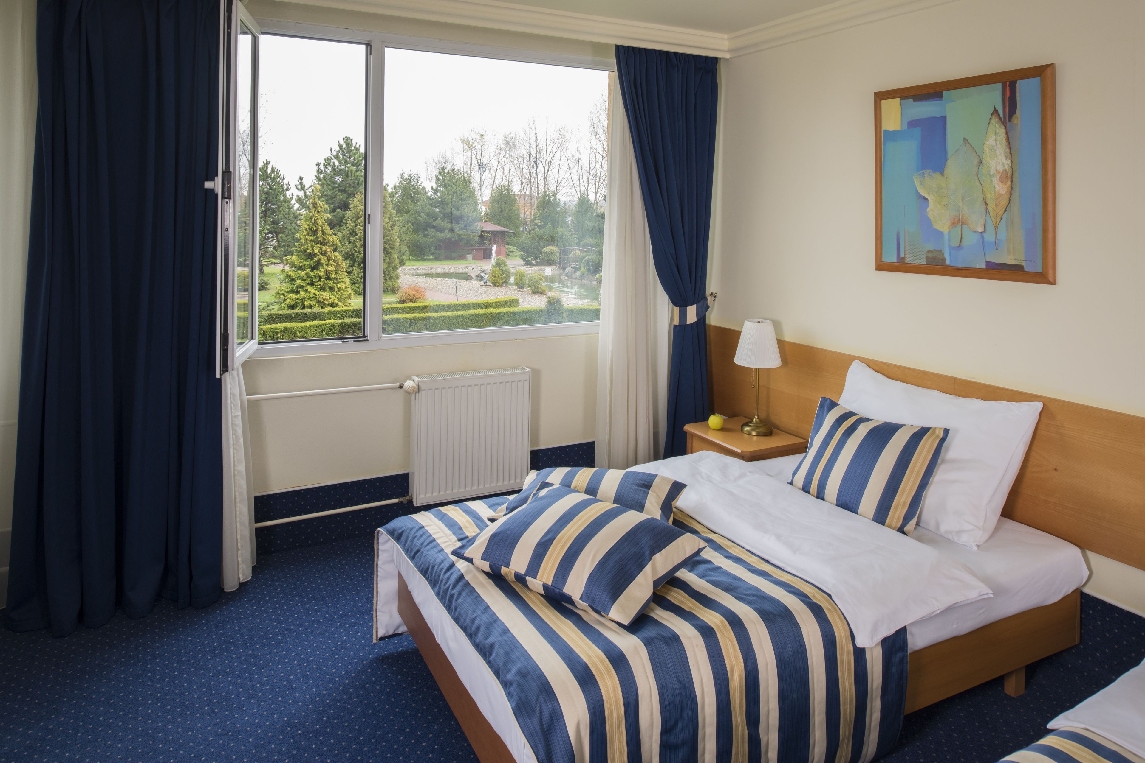 إطلالة الغرفة