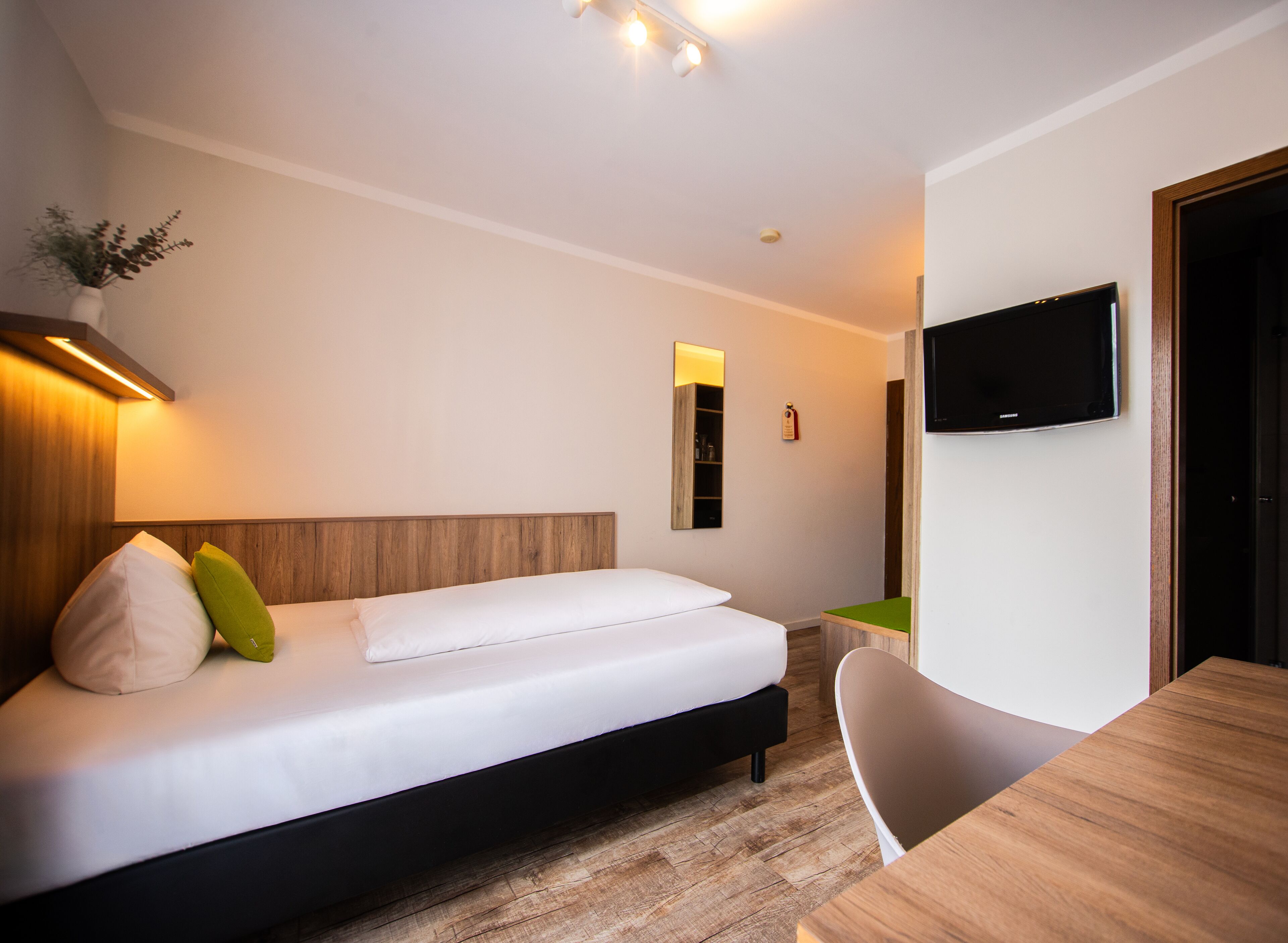 A modern hotel room with a bed, a desk, a chair, a TV, and a small plant.