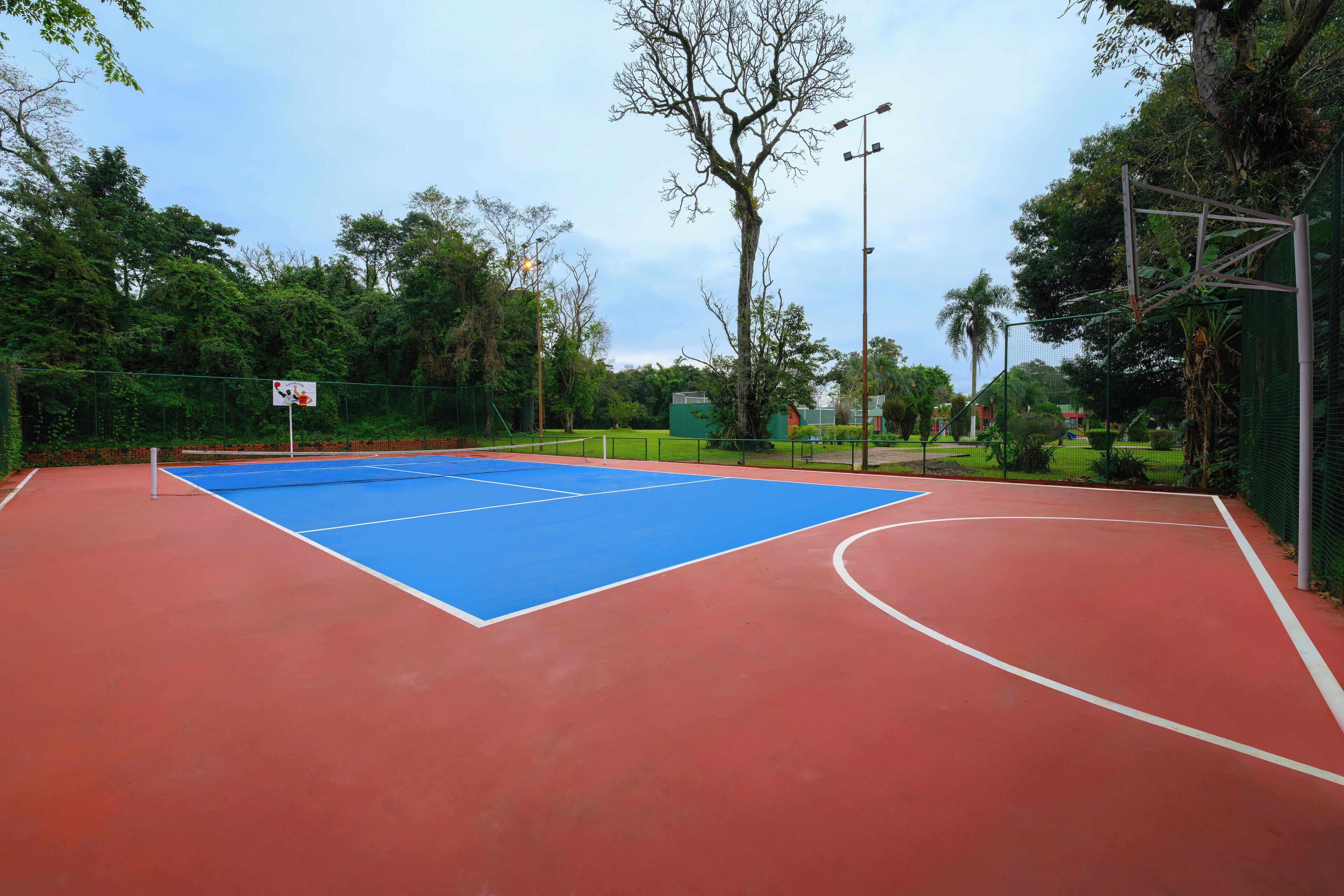Un terrain de basket en plein air avec une surface de jeu bleue et une zone périphérique rouge, entouré de verdure et d’une clôture.