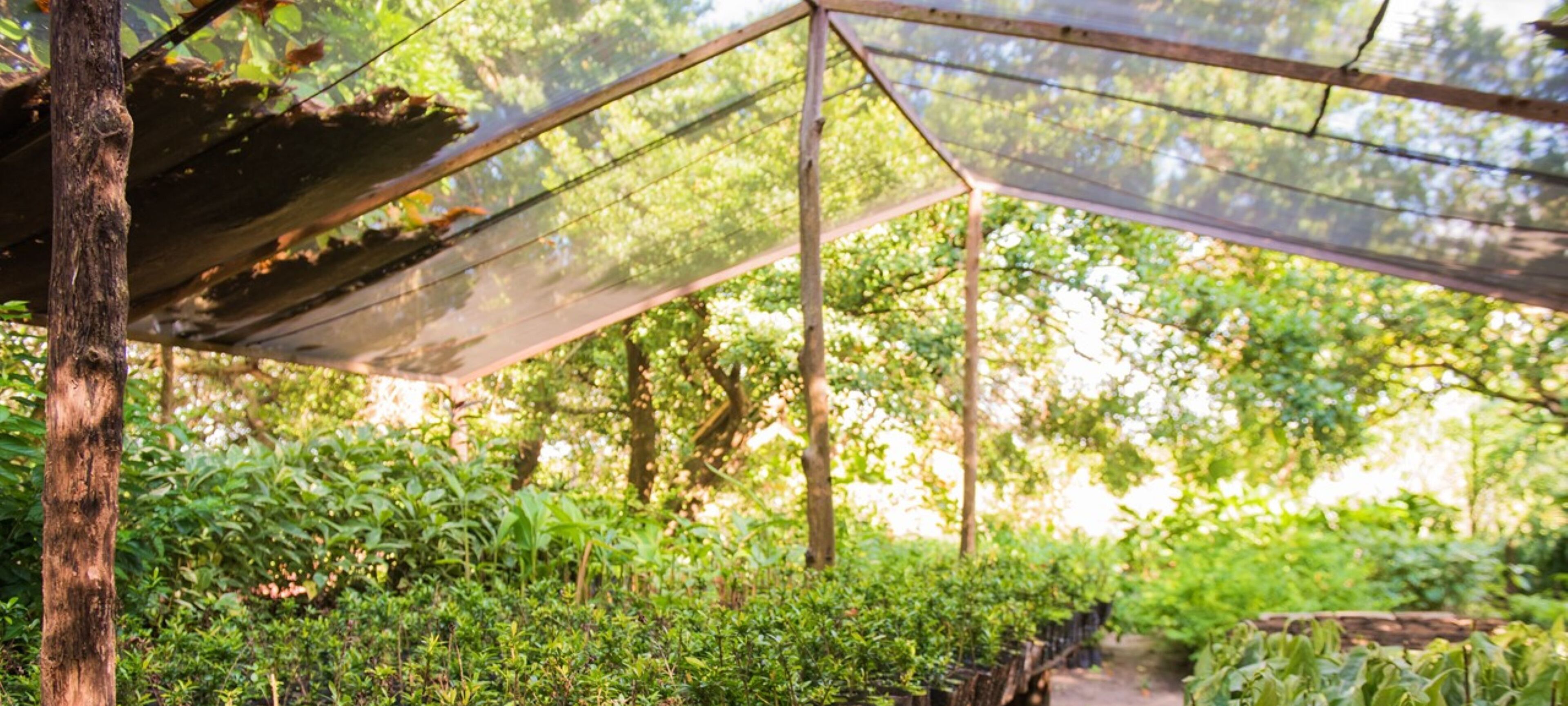 Foto - Vila Galé Cabo - All Inclusive