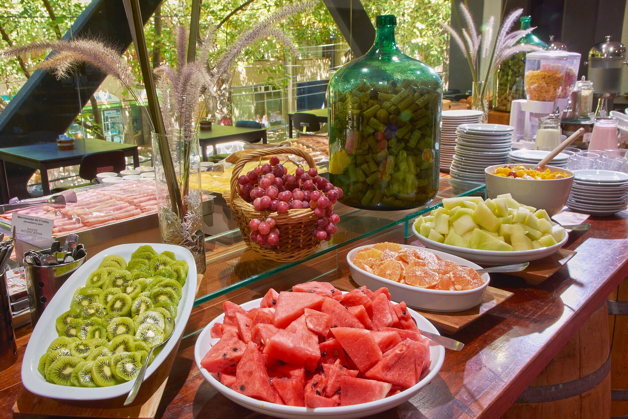 Foto - Hotel Raices Aconcagua