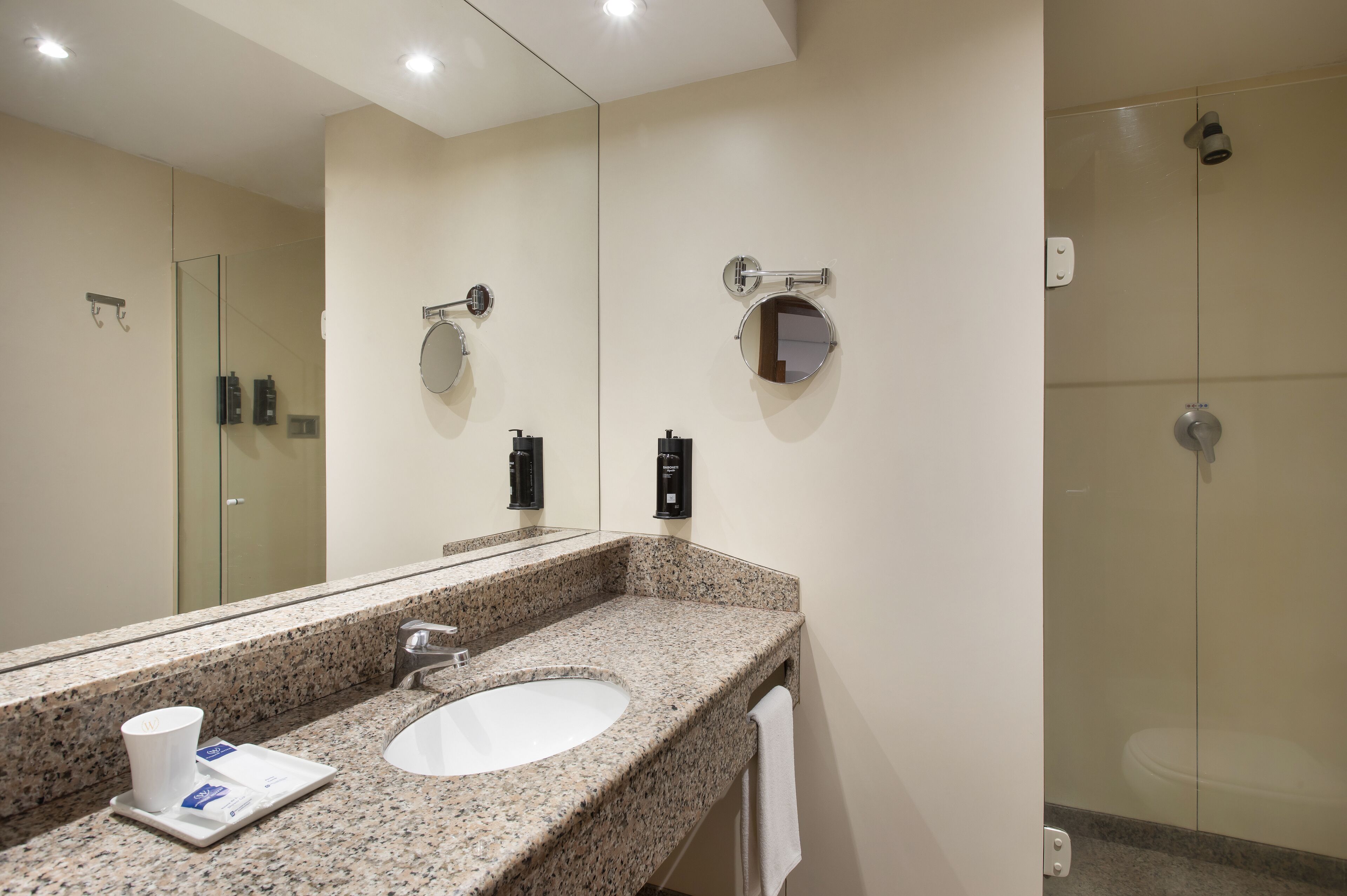 shower, free toiletries, hair dryer, towels