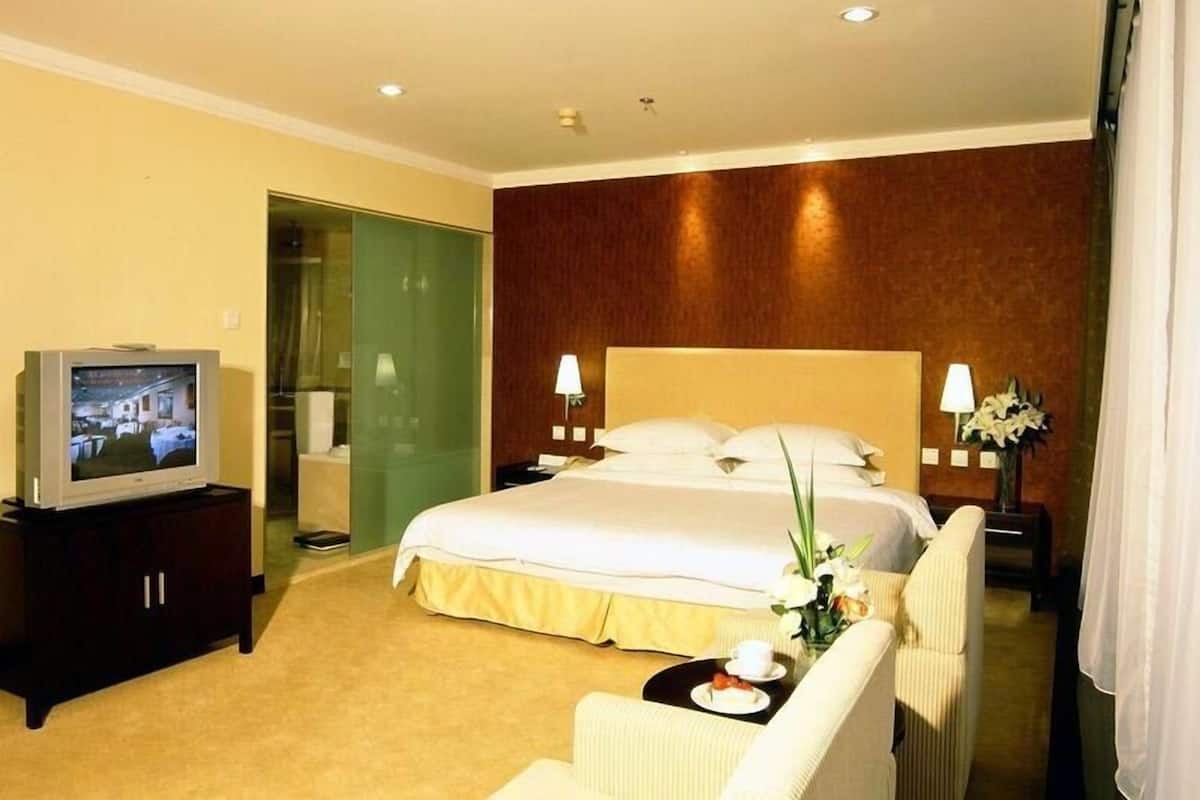 Een minibar, een kluis op de kamer, snel internet