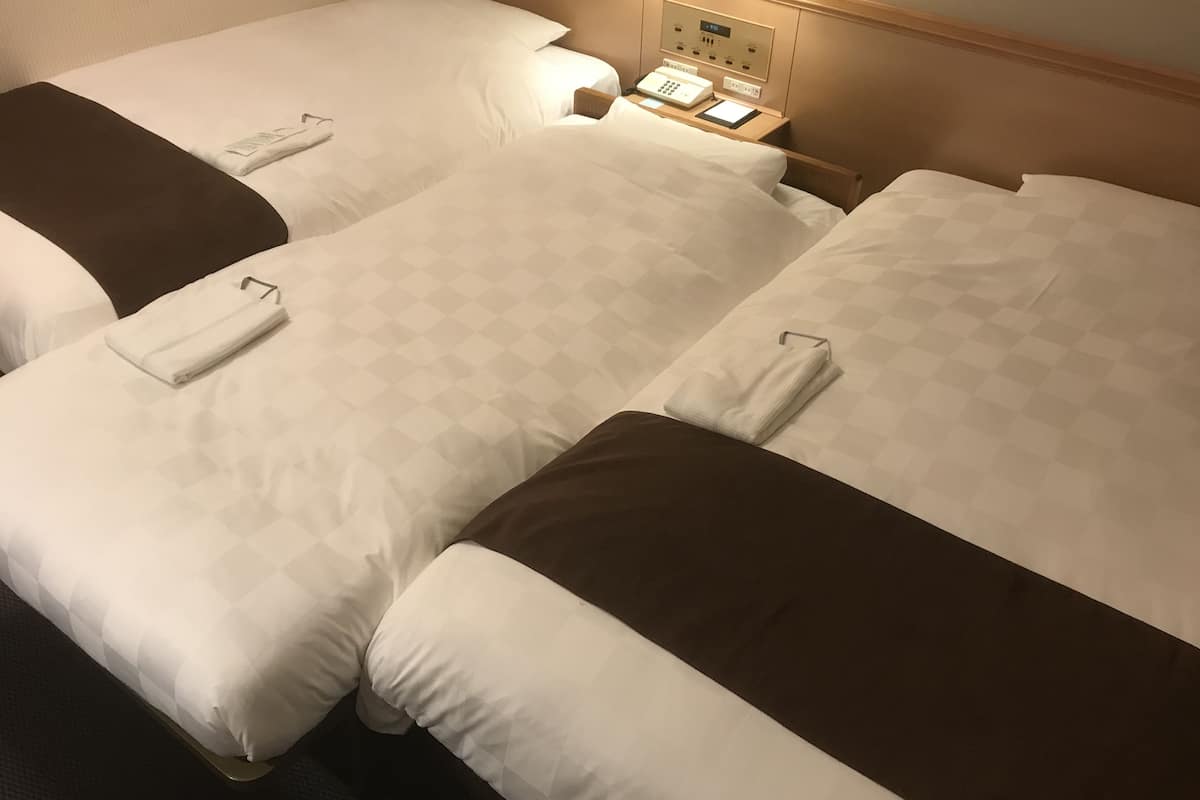 Triple Room with 2 Single Beds and Extra Bed, Non Smoking (Room Size, 18 sqm) | Down duvets, in-room safe, desk, blackout curtains