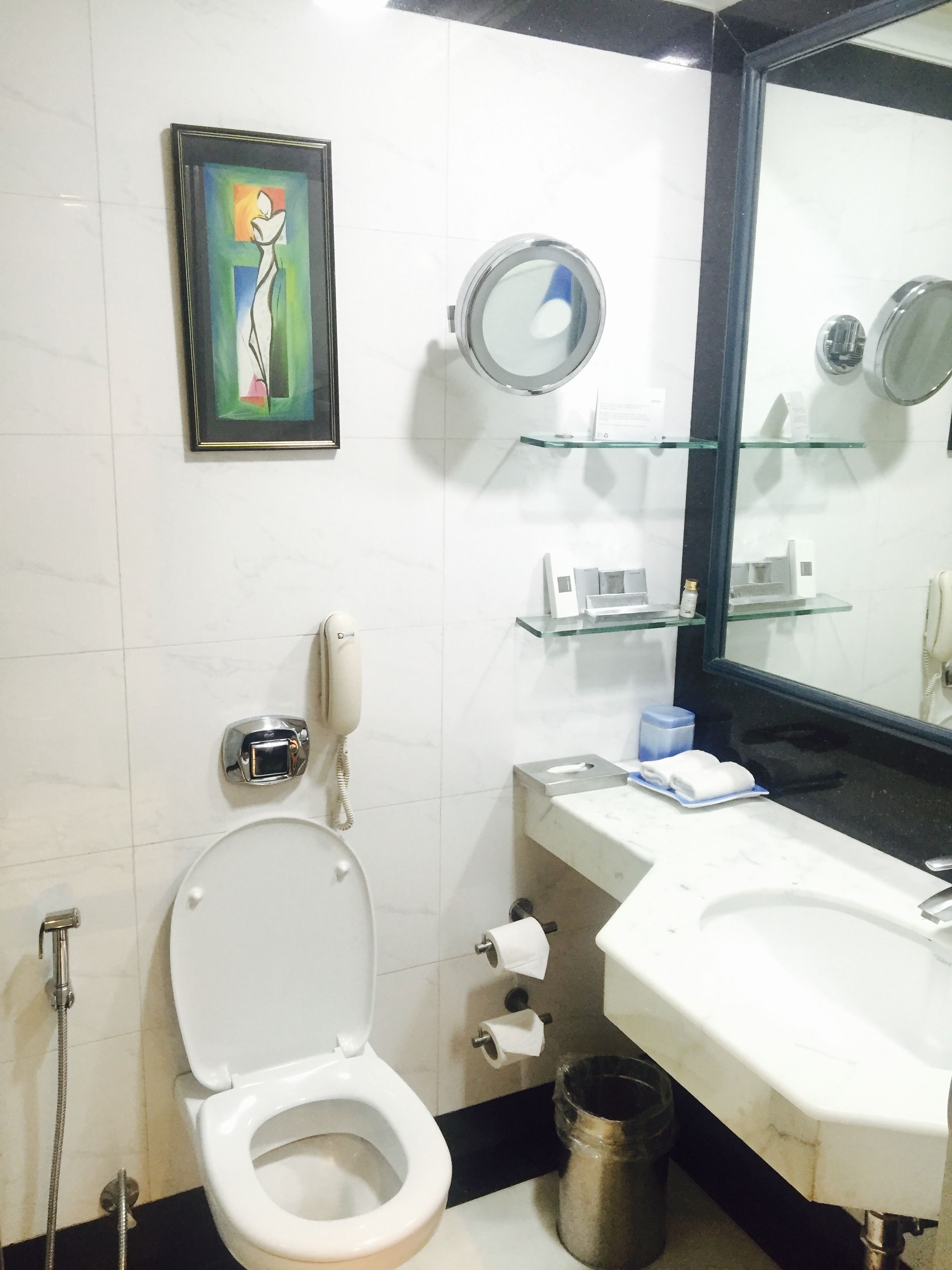 A bathroom with a toilet, a sink, a mirror, a framed painting, and a trash can.