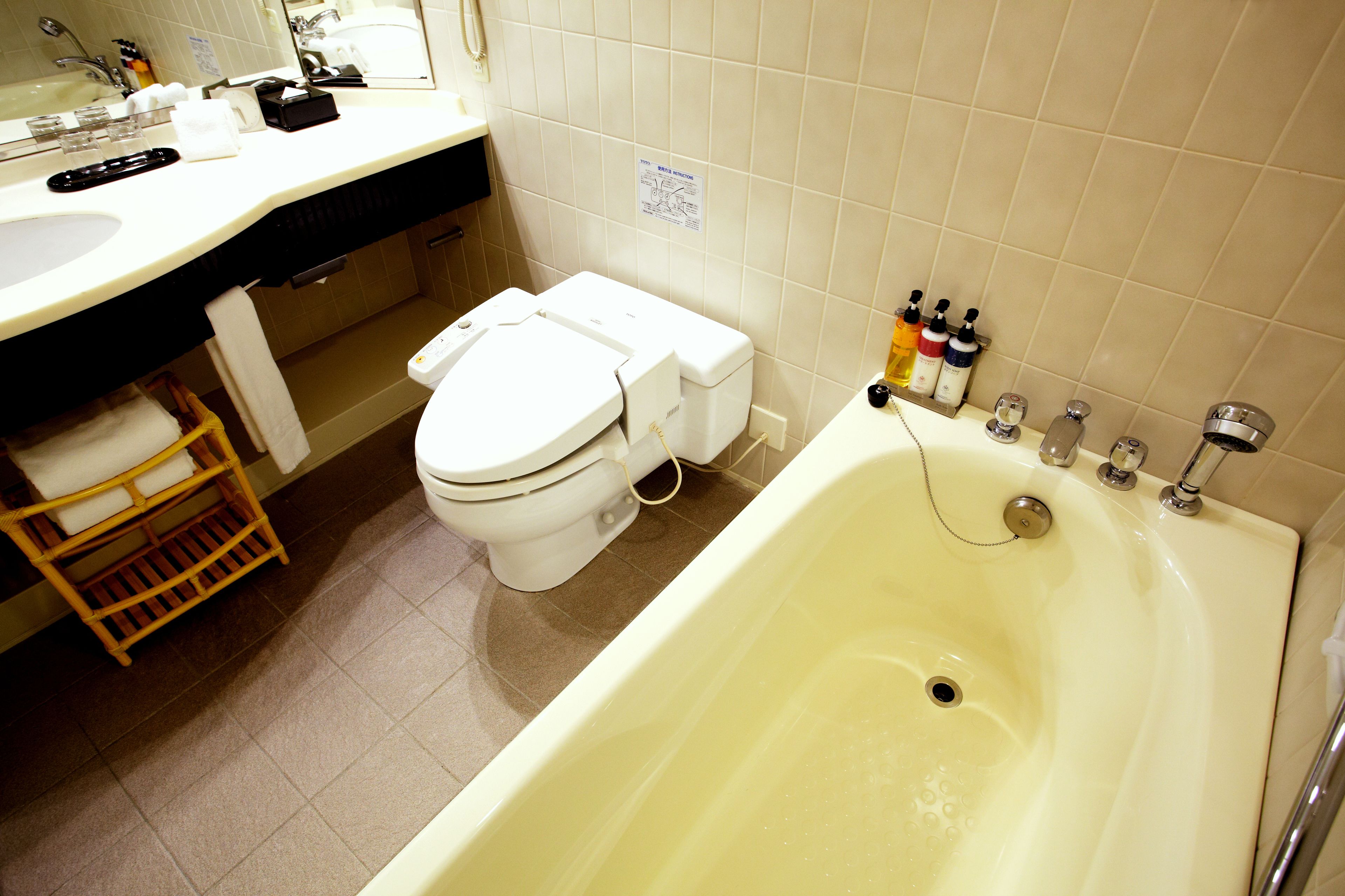 combined shower/bathtub, eco-friendly toiletries, hair dryer, slippers