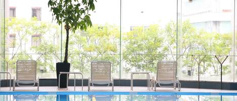 Una piscina interior con paredes de vidrio transparente, un árbol en maceta y tres sillas de descanso.