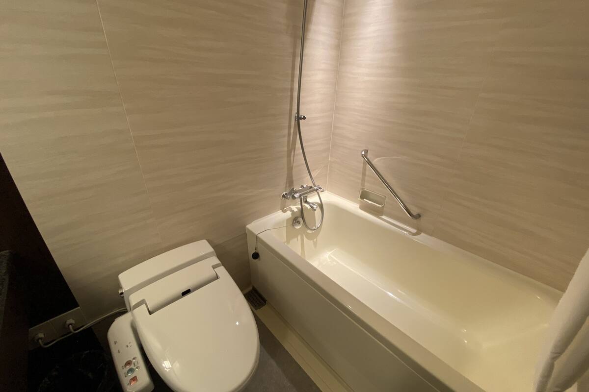 combined shower/bathtub, deep-soaking bathtub, hair dryer, slippers