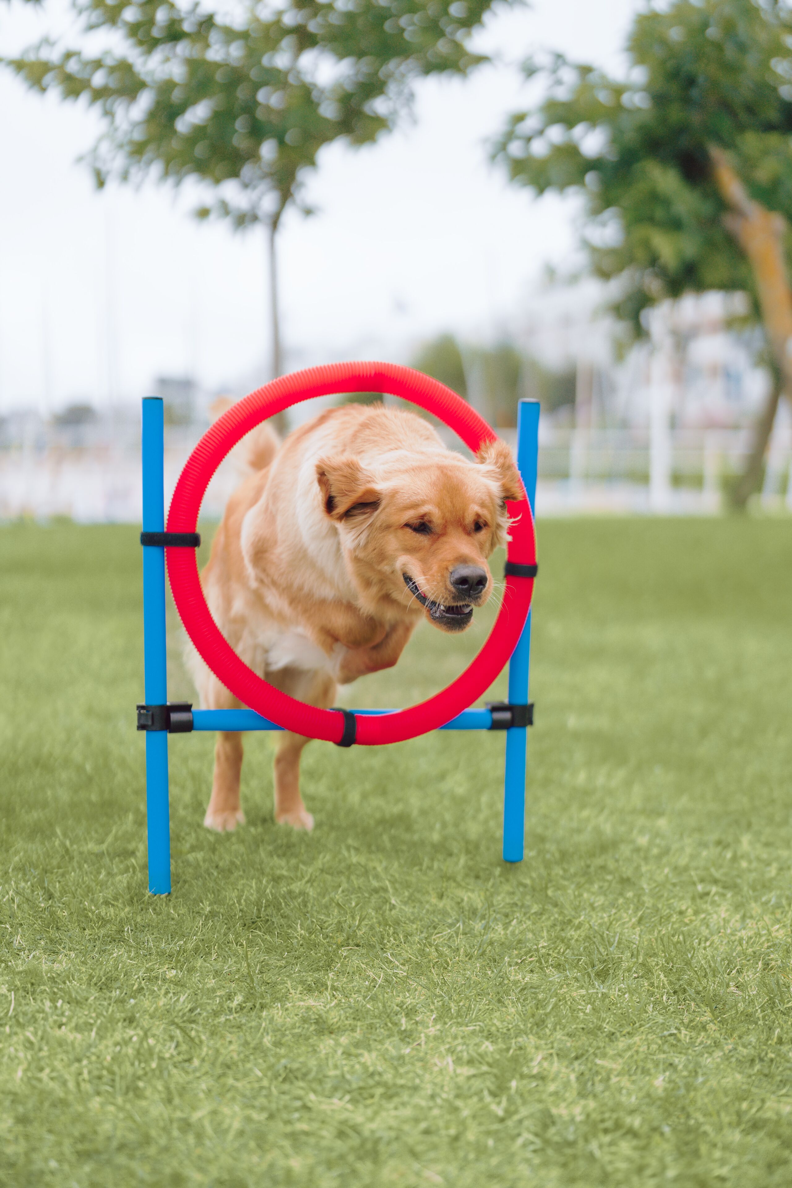 Foto - Hôtel Barrière L'Hermitage