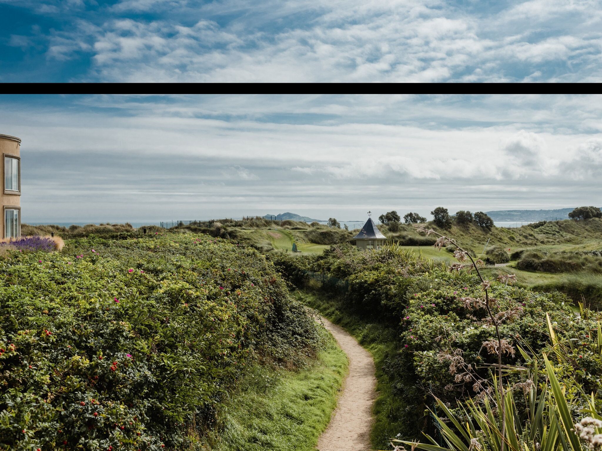 A pathway through a lush landscape with a building on the left and a small structure in the distance.