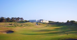 Golfe