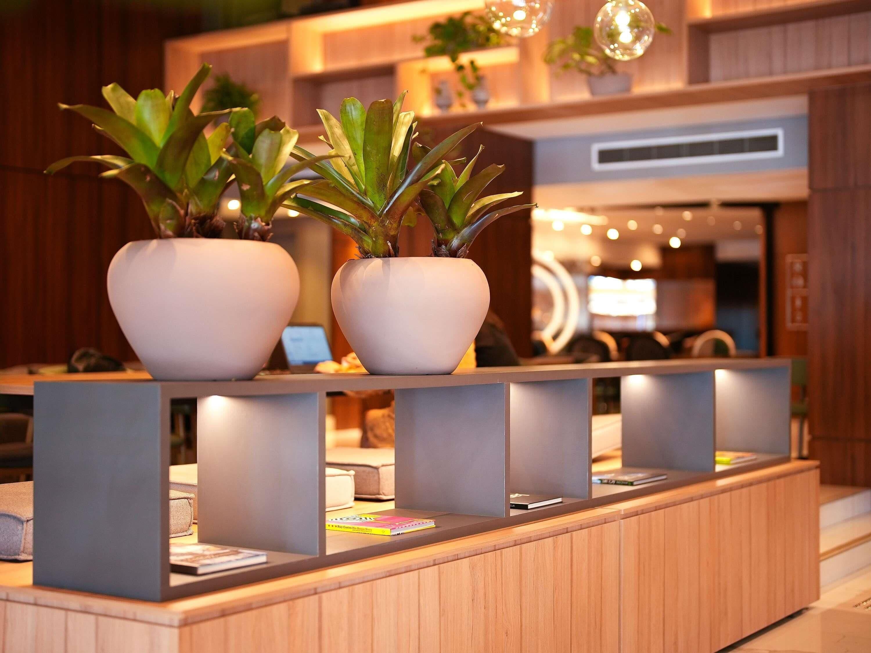 Una mesa de recepción con dos plantas en macetas, un mostrador de madera y una decoración interior moderna.