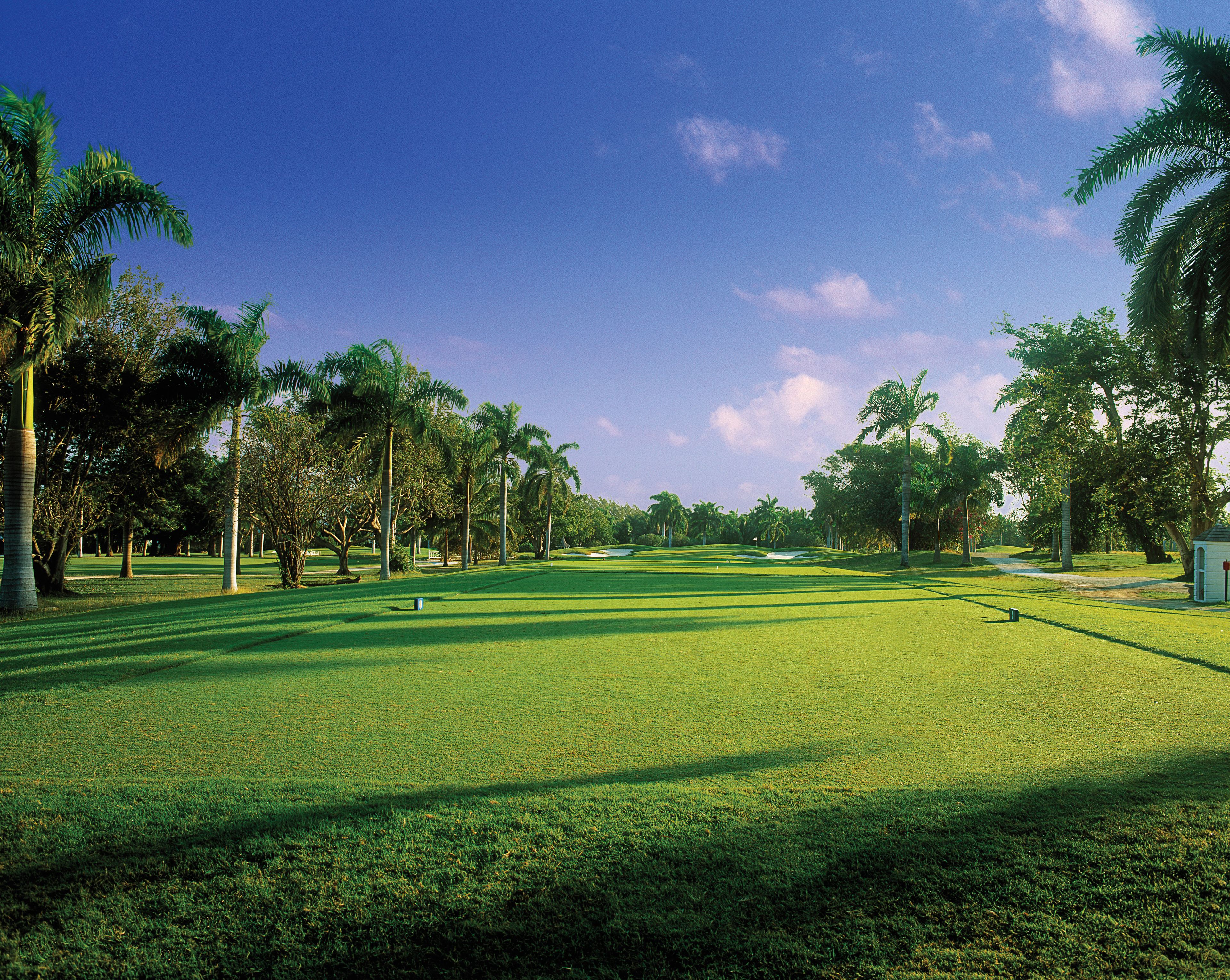 A golf course with well-maintained grass, palm trees, and a clear sky.