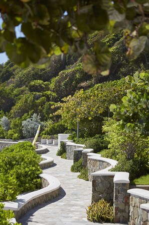 Un sendero de piedra serpentea por una zona ajardinada con diversas plantas y árboles.