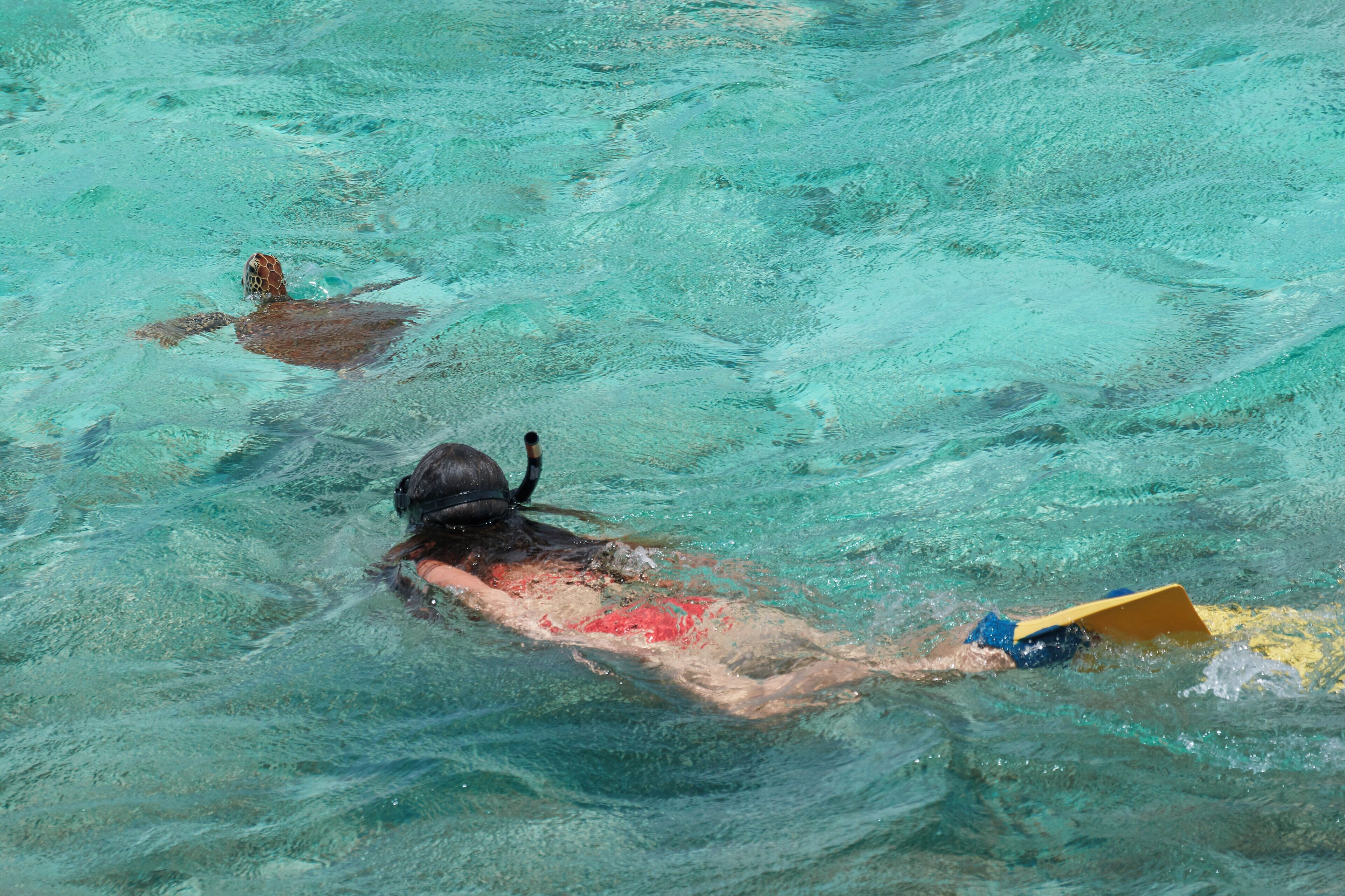 A person swimming in clear water with a snorkel and fins.