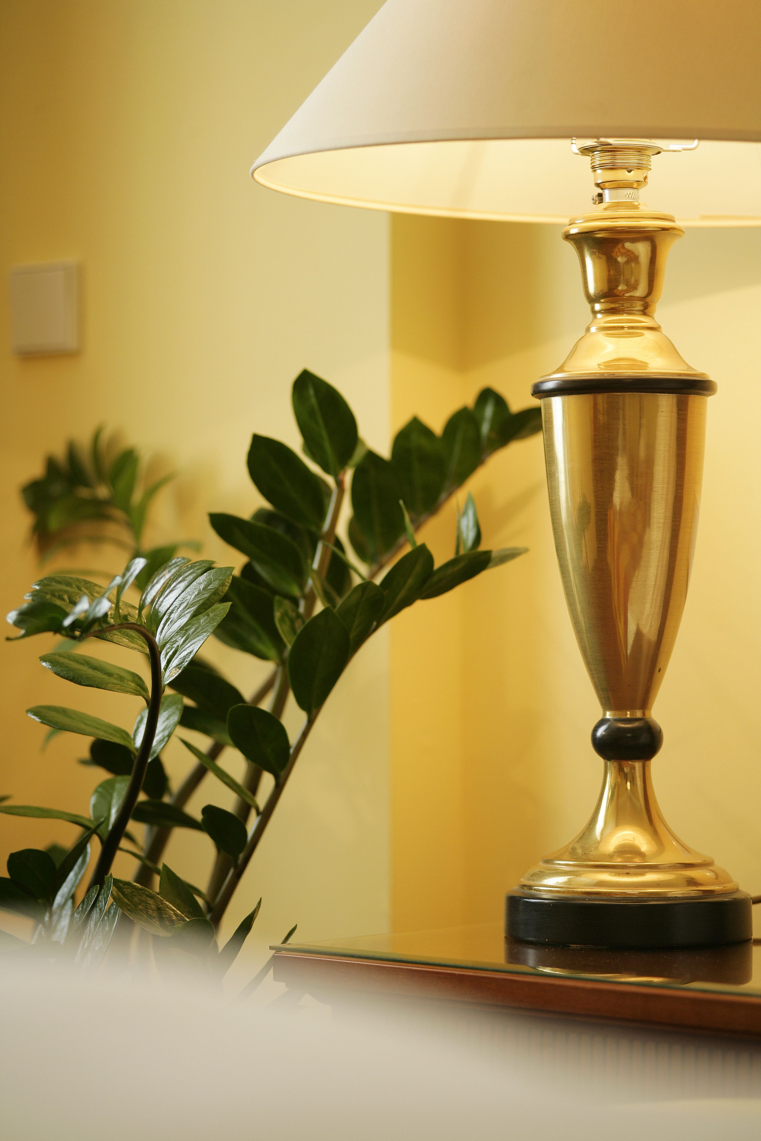 A table lamp with a metallic base and a white lampshade, positioned next to a potted plant with green leaves.
