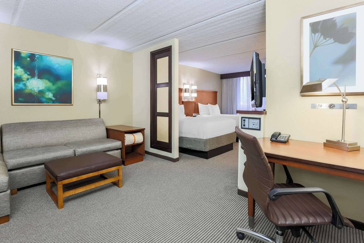 A hotel room with a sofa, a bed, a desk, and a chair.