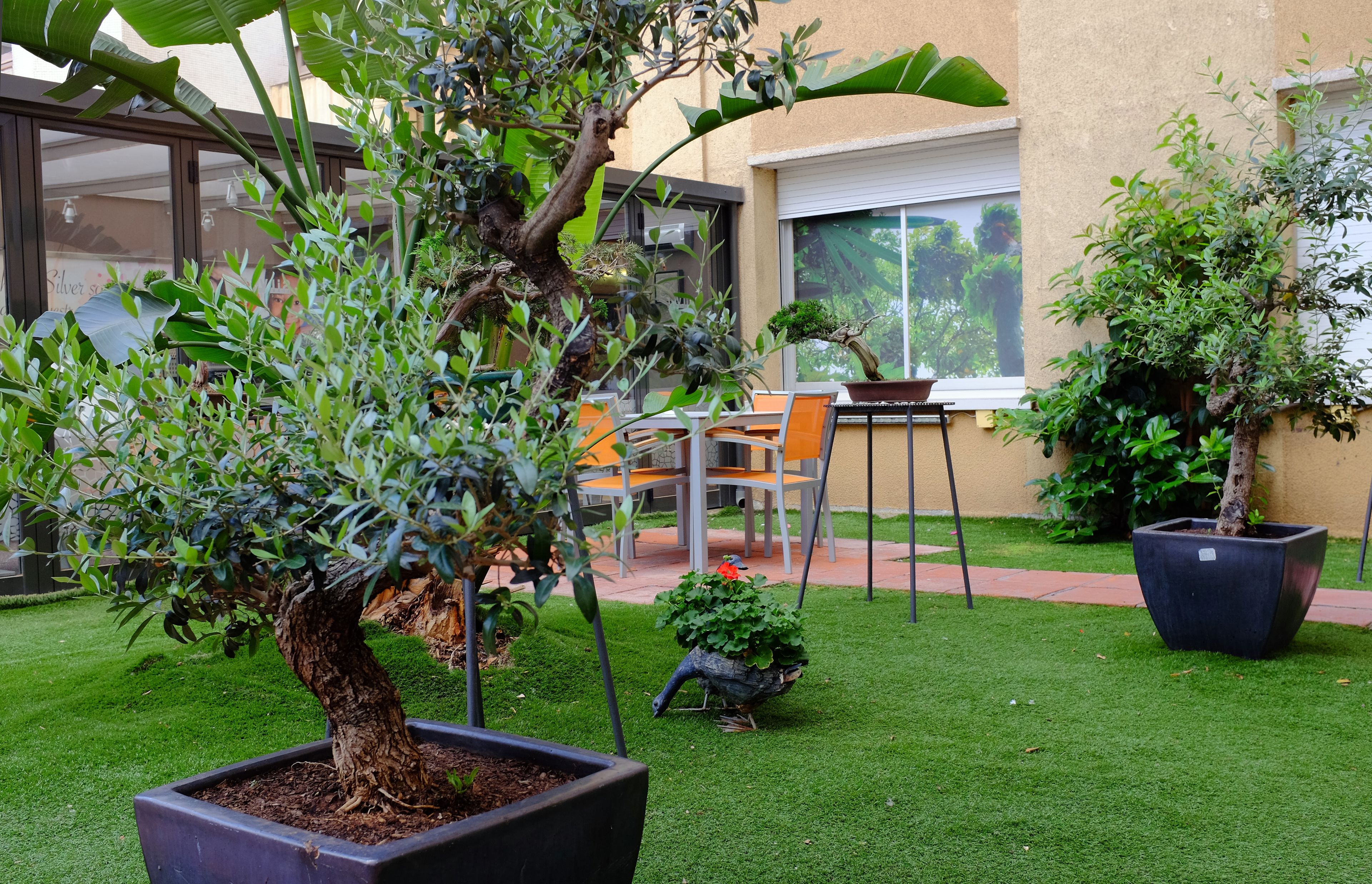 A well-maintained garden with a variety of potted plants, a small table with chairs, and a clear view of a building with large windows.