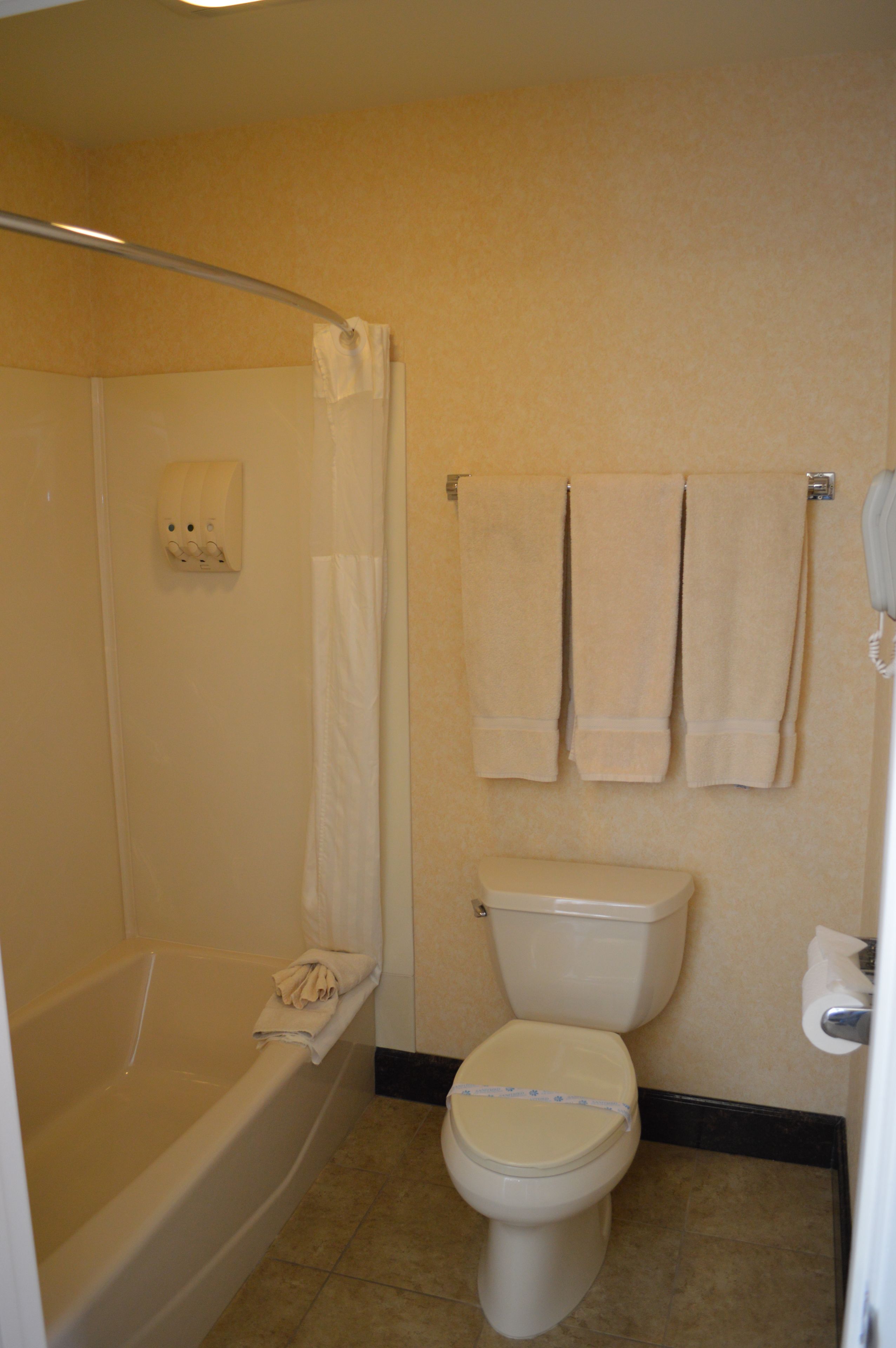 combined shower/bathtub, free toiletries, hair dryer, towels