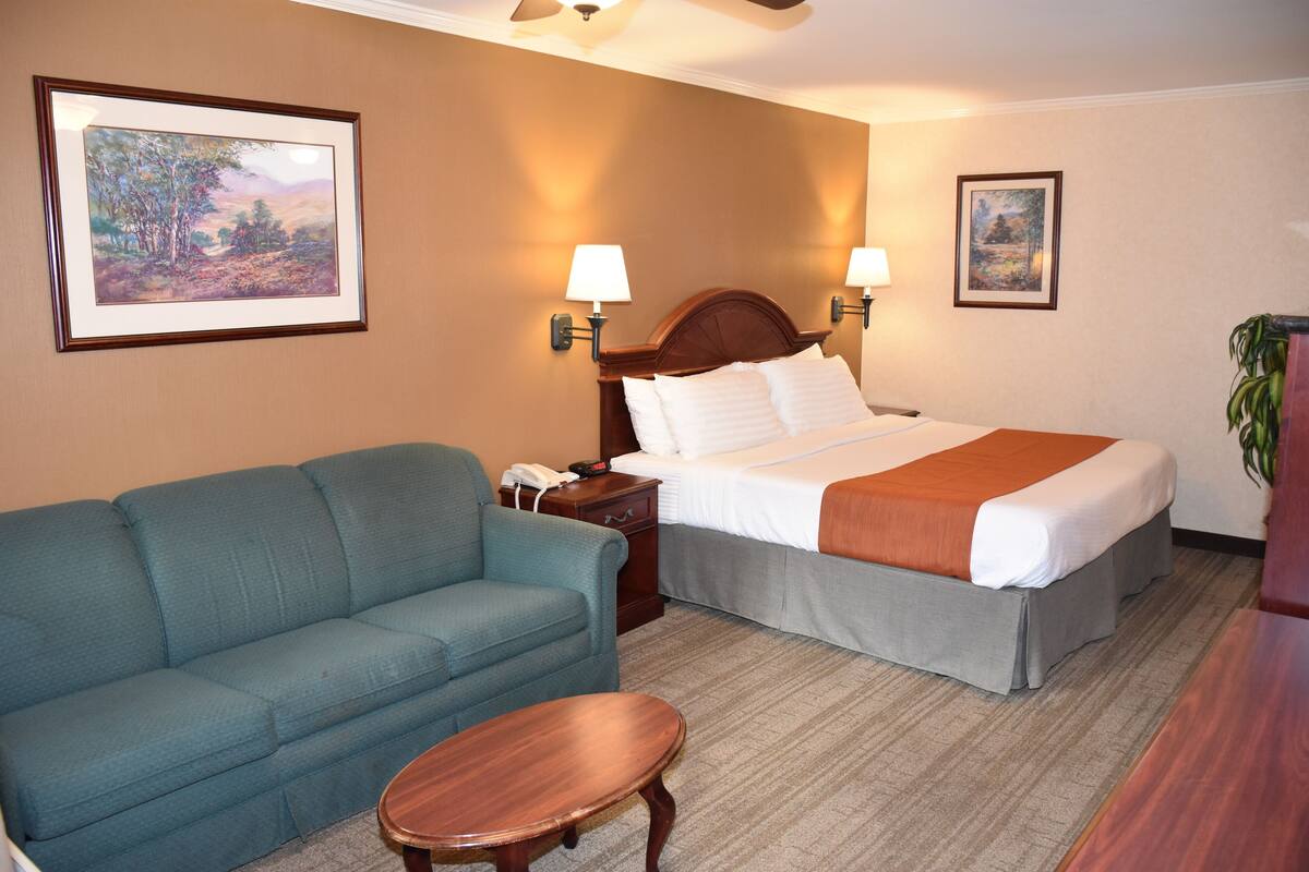 Una habitación de hotel con una cama, un sofá, una mesita de noche y dos lámparas de pared.