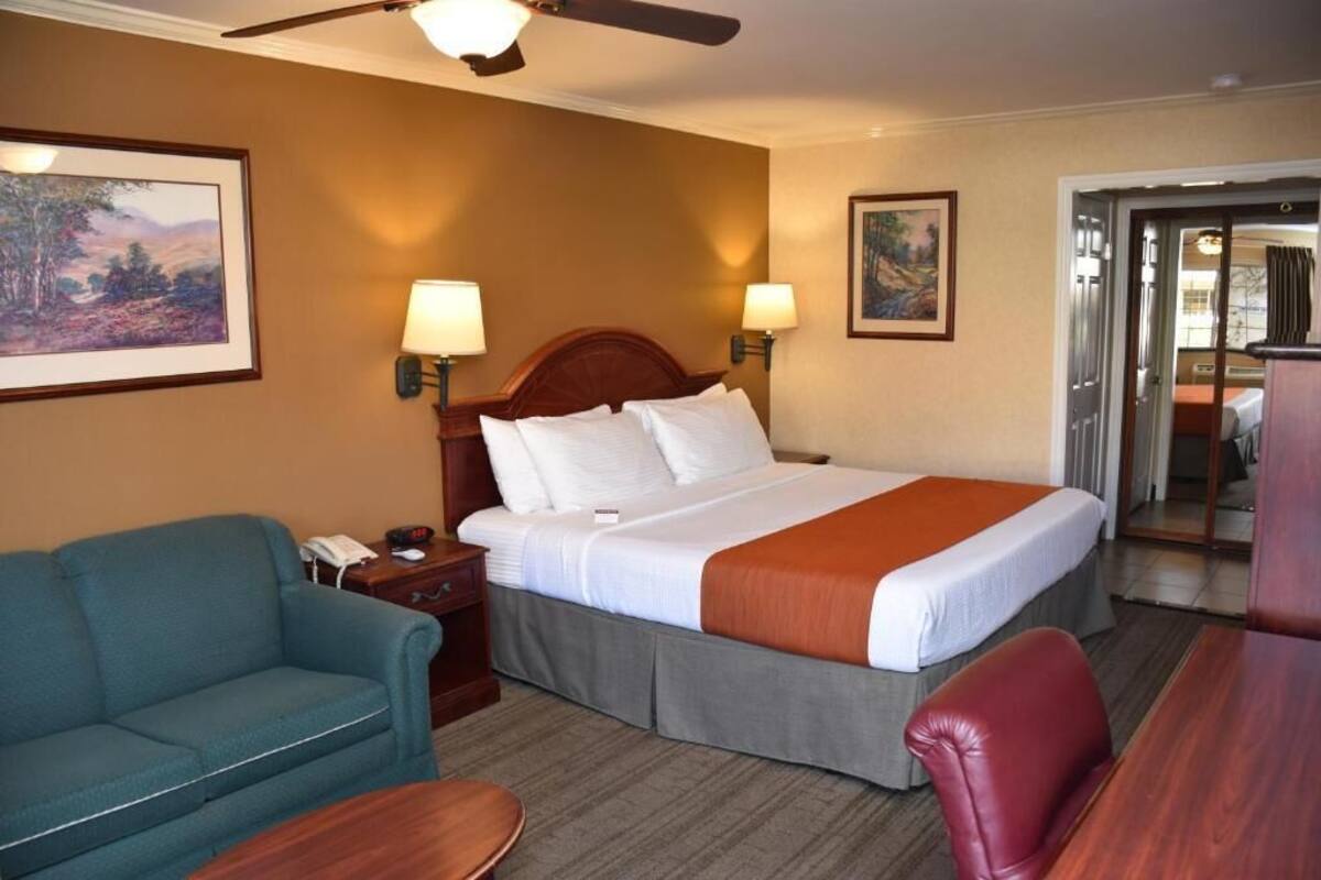 Una habitación de hotel con una cama, dos lámparas de noche, un escritorio, una silla y un sofá.