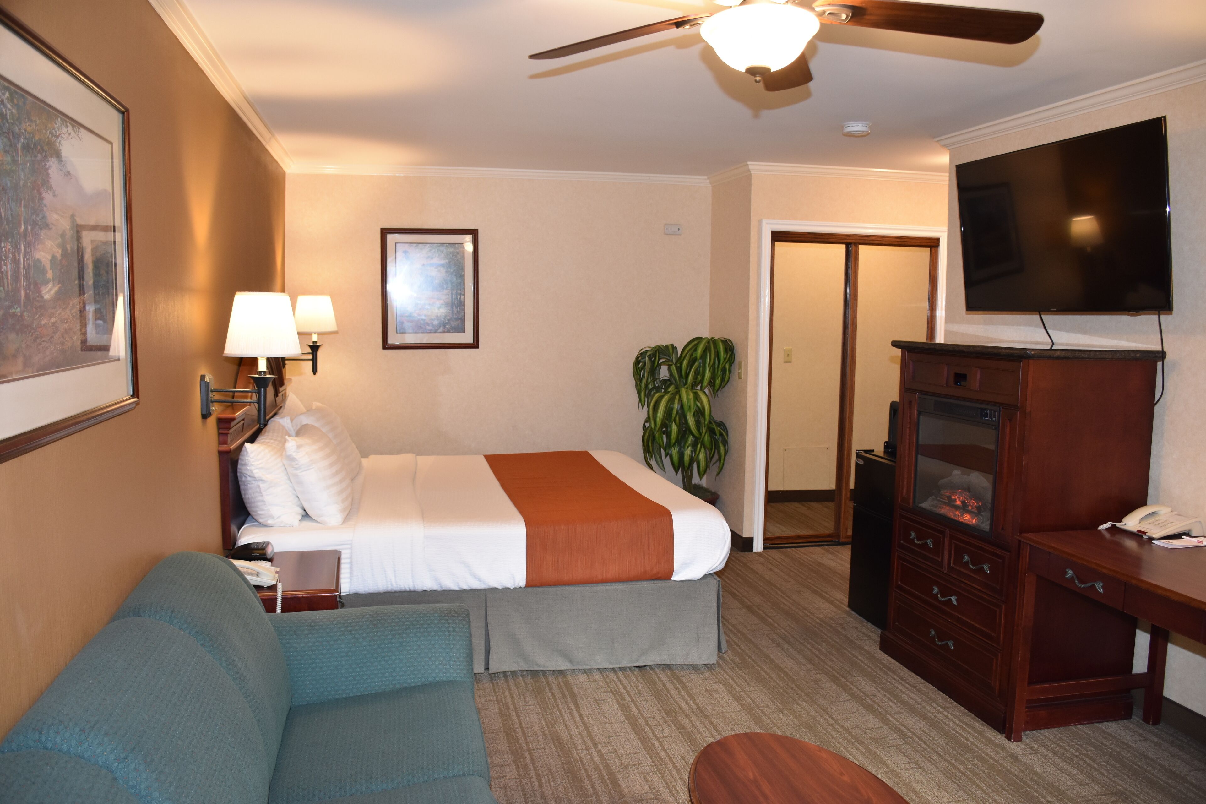 executive suite, 1 king bed | view from room