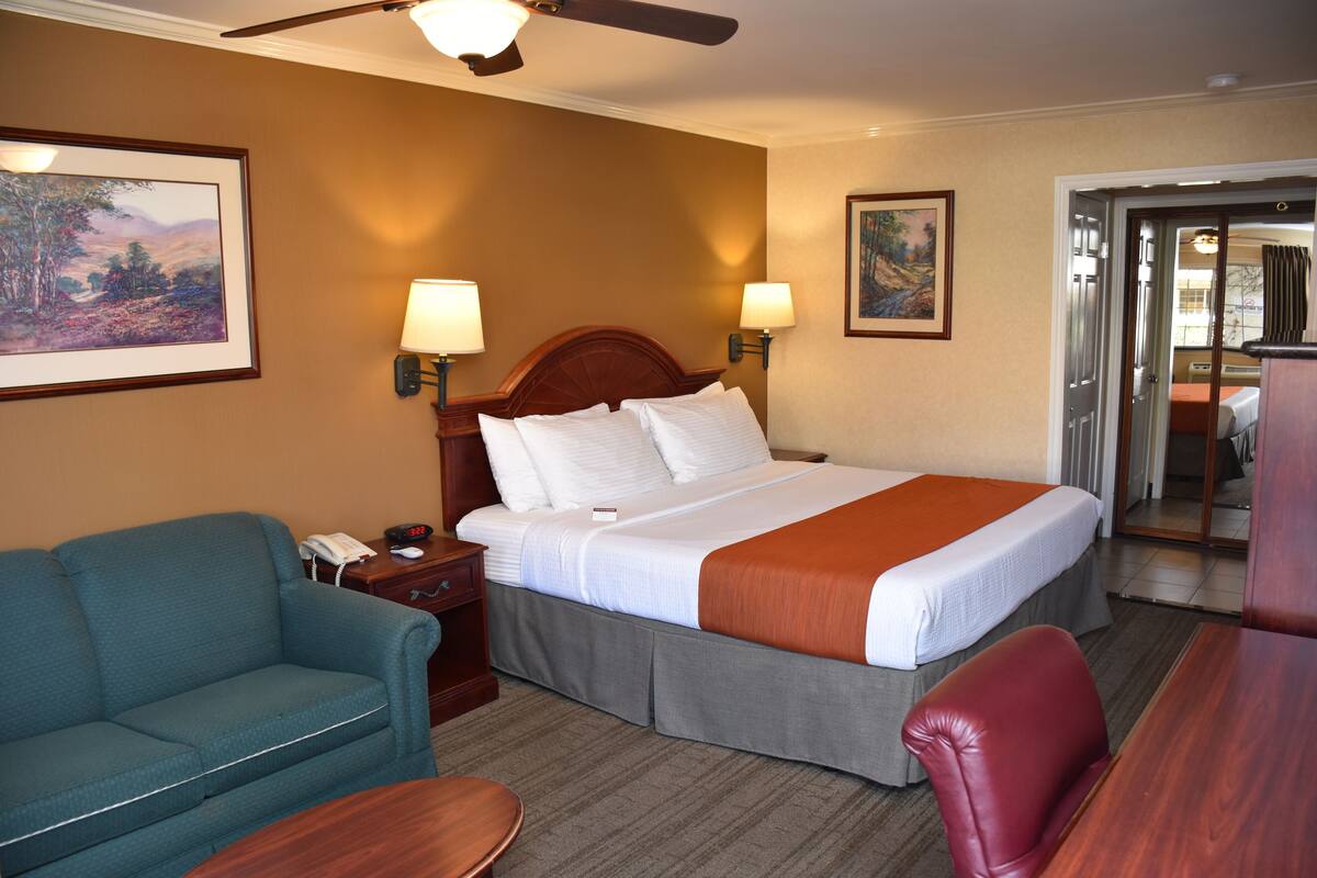 Una habitación de hotel con cama, escritorio, sillón, sofá y un cuadro en la pared.