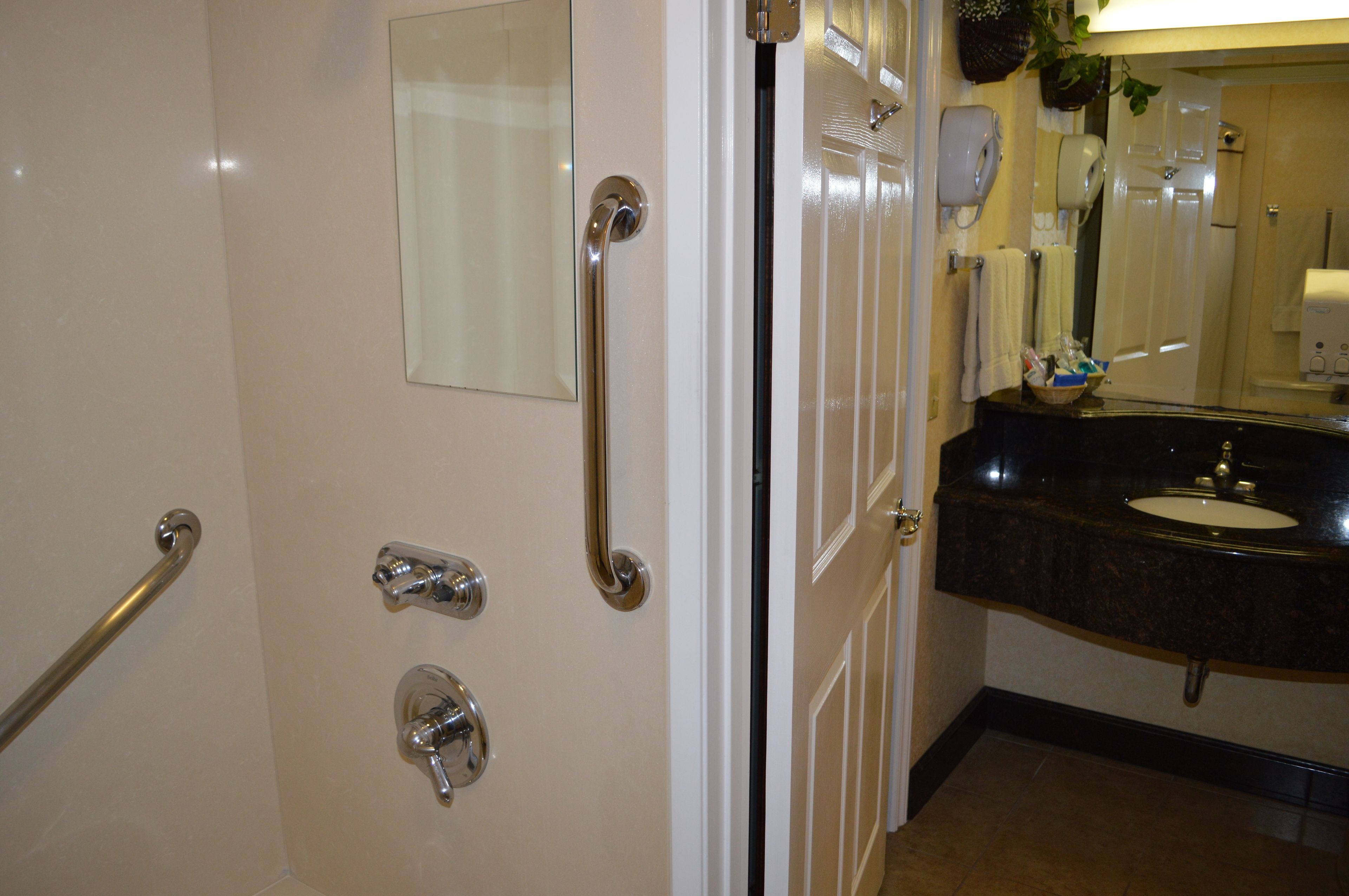 combined shower/bathtub, free toiletries, hair dryer, towels