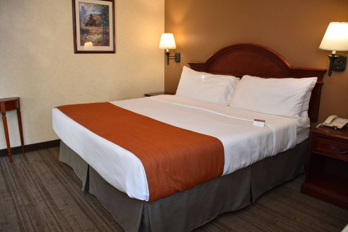Una habitación de hotel con una cama grande, dos lámparas de noche, una mesita de noche con un teléfono y un cuadro enmarcado en la pared.