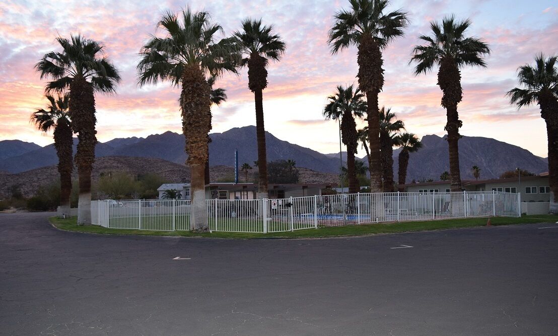 A fenced parking area with palm trees and mountains in the background.